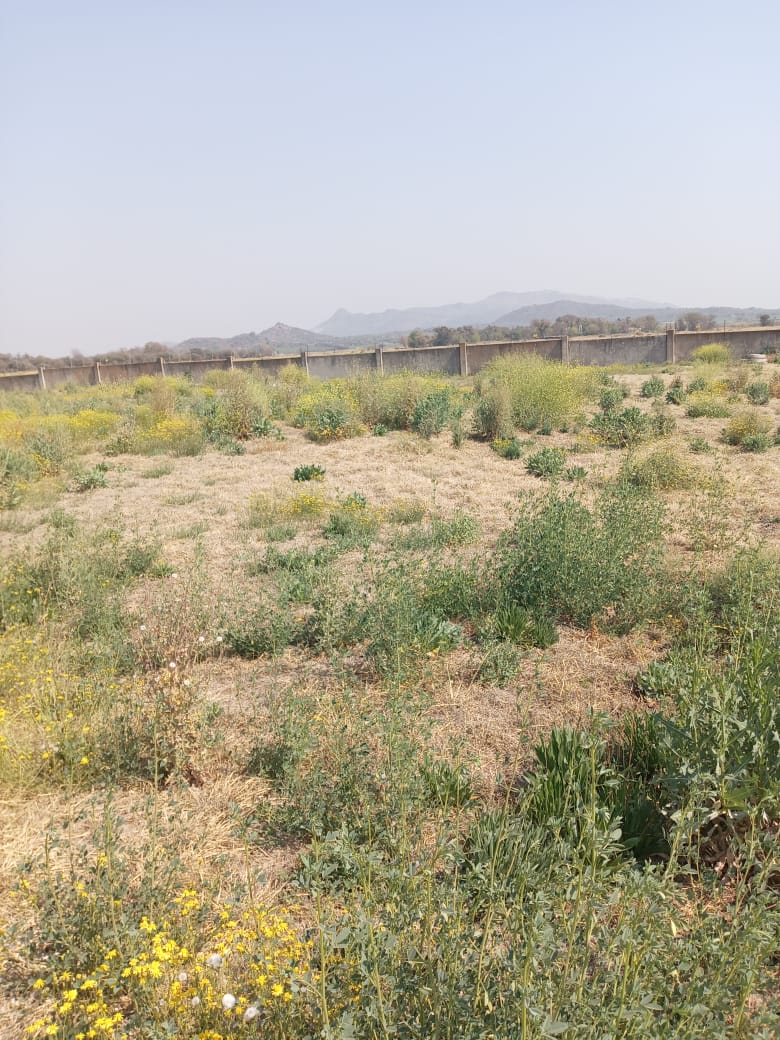 0 Bedroom Property for Sale in Brits North West